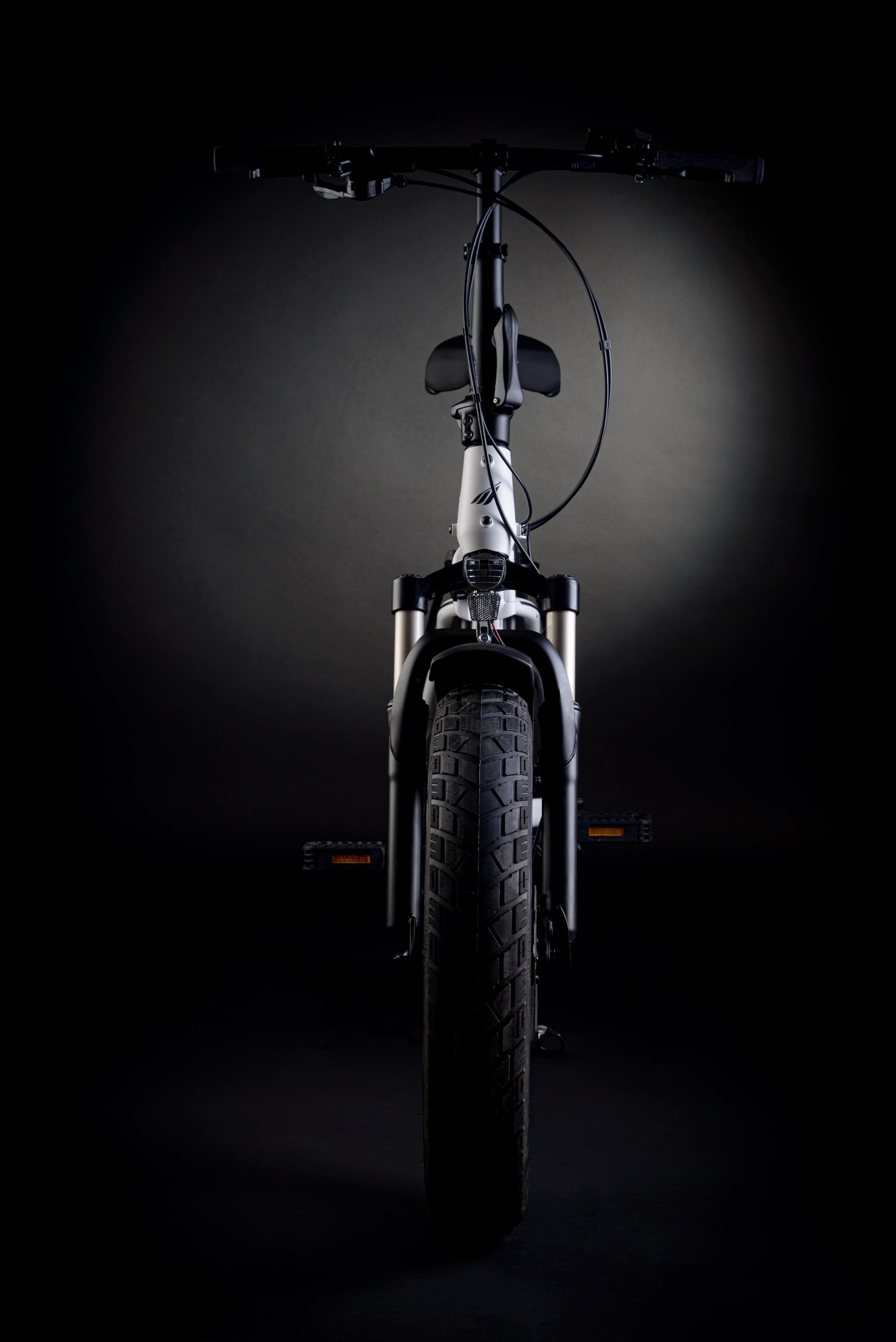 E-fat bike MBM Phrike 20"