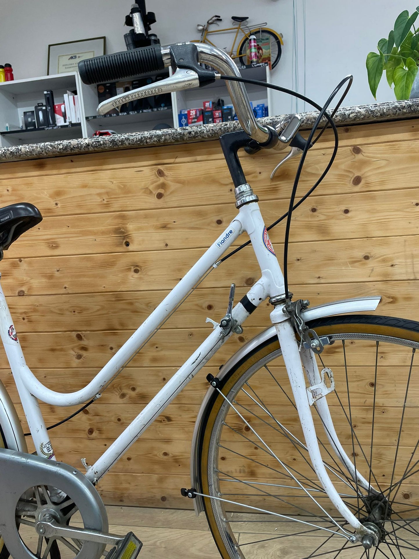 Bici usata donna